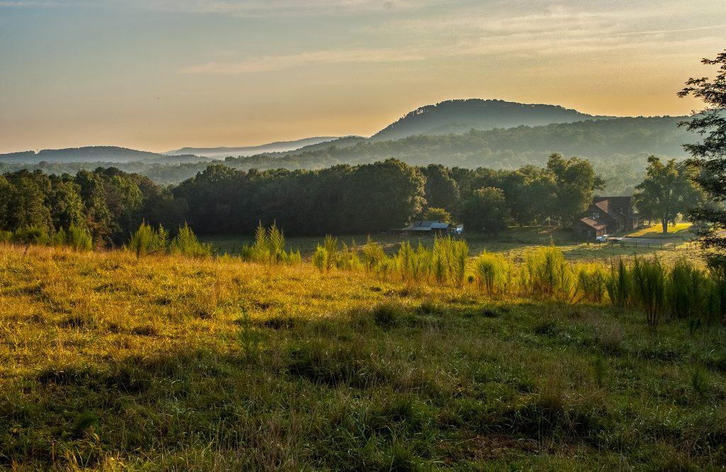 Valley Drive Sunrise